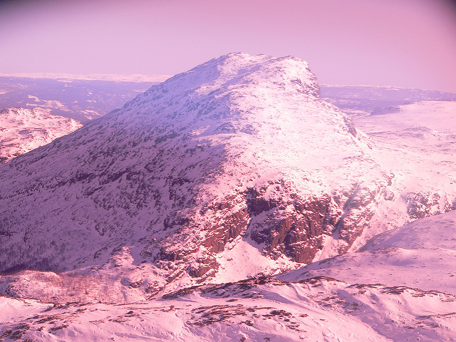 120922096_cc48a56465_z